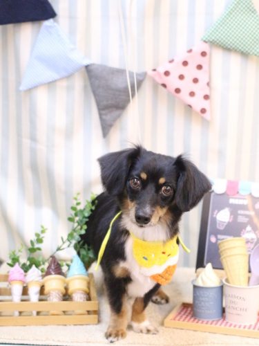 20250504れおくん